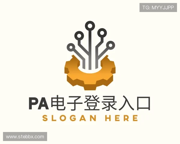 发现PA电子平台
