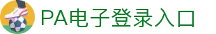 PA电子官网